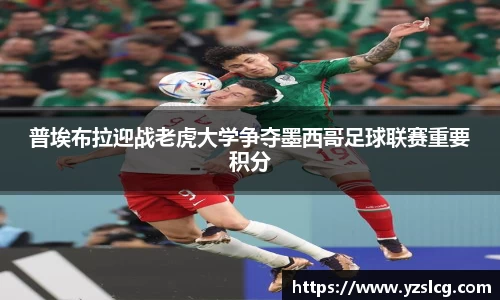 必威BETWAY官方网站